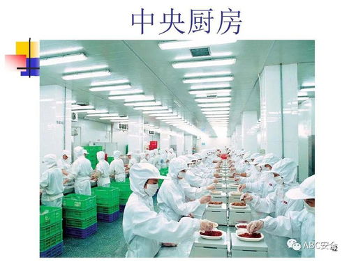 食品安全法與餐飲服務(wù) 筑牢健康防線，守護(hù)“舌尖上的安全”