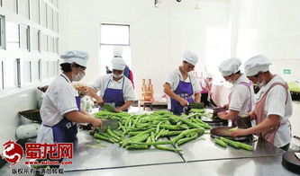 綿陽(yáng)市“明廚亮灶”工程成效顯著，餐飲服務(wù)單位覆蓋率突破75.5%